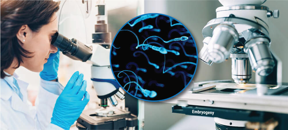 Andrology & Semen Analysis Laboratory