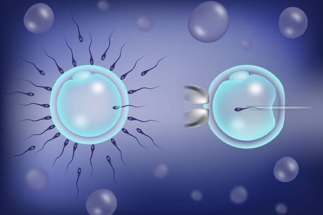 How Embryology Innovations Improve IVF Success – Research by Dr. Dastidar, GDIFR